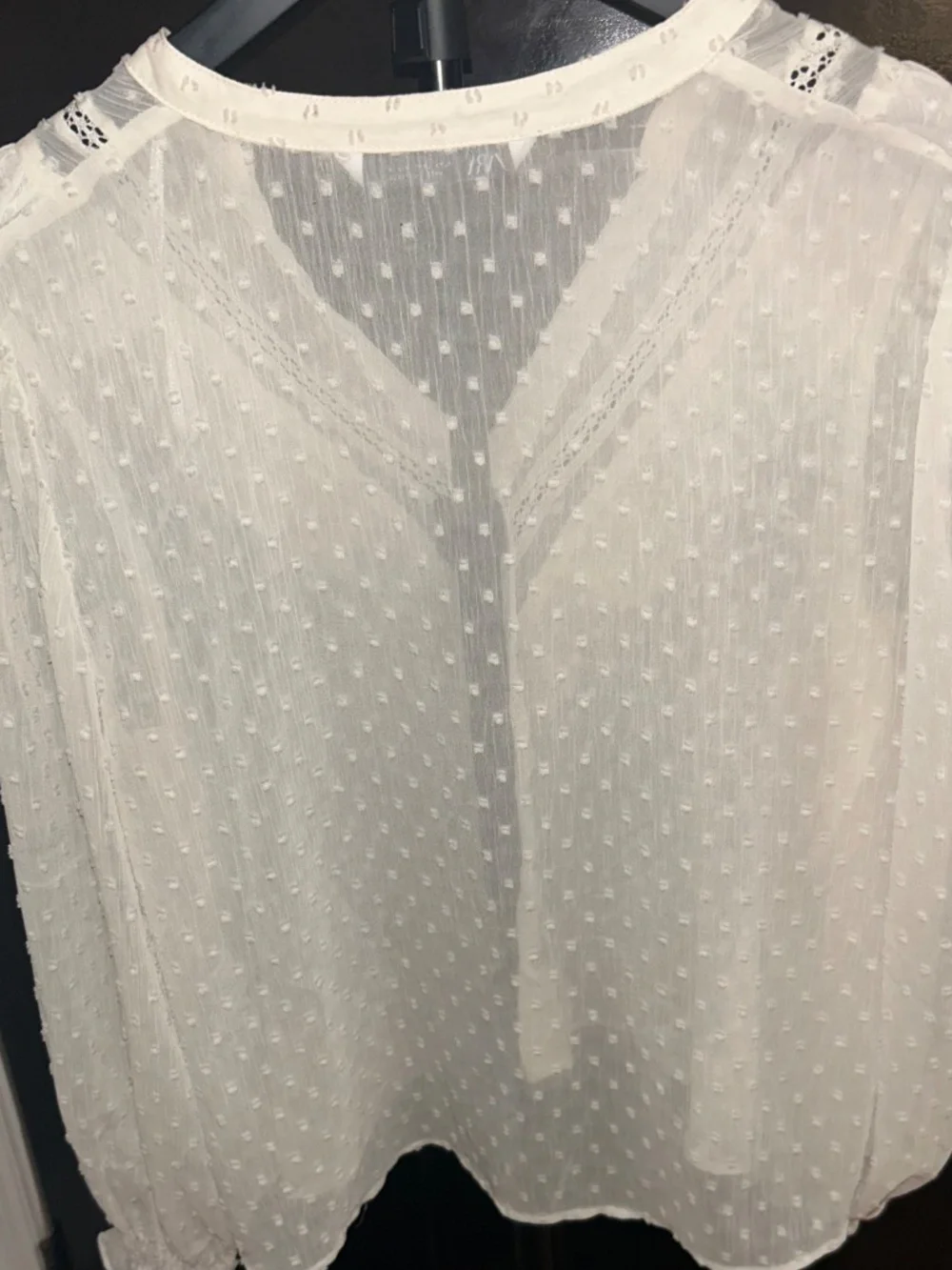 Zara White Swiss Dot Ruffle Blouse